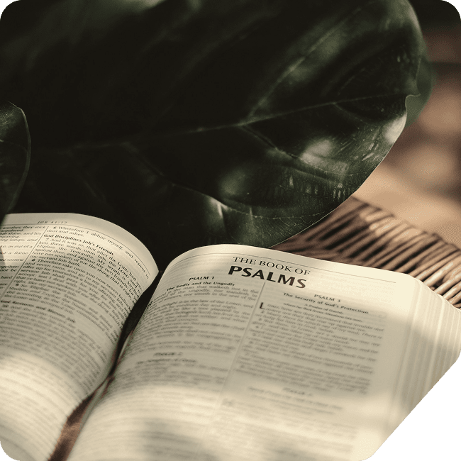An open Bible turned to the Book of Psalms